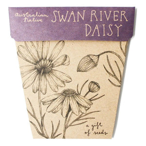 Sow n Sow- Swan River Daisy Gift of Seeds