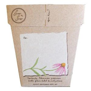 Sow n Sow- Echinacea Gift of Seed