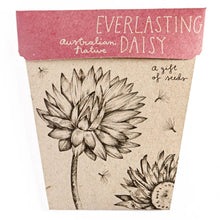 Load image into Gallery viewer, Sow n Sow- Everlasting Daisy Gift of Seeds

