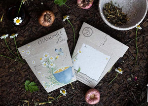Sow n Sow- Chamomile Gift of Seed